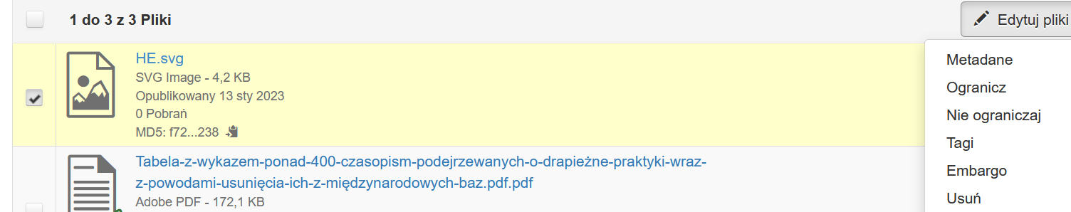 widok formularza ograniczanie plików