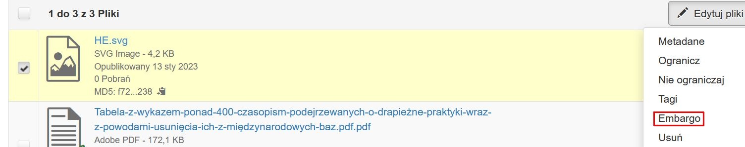 widok formularza ograniczanie plików